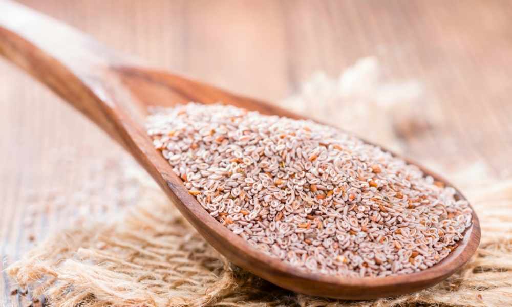 O Psyllium é um Grande Aliado do Intestino… Mas Não Faz Milagre Sozinho!